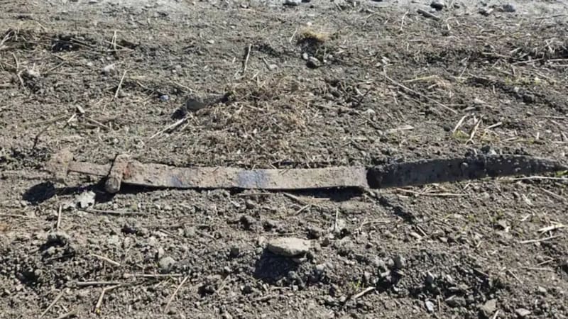 Encuentran el mayor tesoro de la Era Vikinga y desentierran una reliquia de guerra con más de 1.300 años de antigüedad
Fuente: Patrimonio Cultural de Innlandet