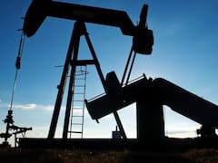 Una petrolera argentina desembarca en un proyecto clave de shale de Estados Unidos