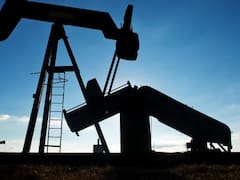 La advertencia del aceite de ballena que Wall Street prefiere ignorar