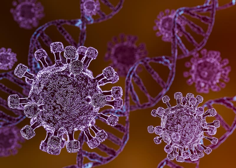 La OMS investiga nuevos casos sospechosos de hantavirus entre pasajeros y tripulantes.