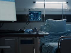 Oficial | La OMS confirma más casos de hantavirus en un crucero con más de cien personas y crece la preocupación
