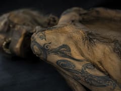 Enterraron a una mujer en el hielo de Siberia hace 2.500 años. Cuando la encontraron, sus tatuajes se habían conservado mejor que su piel