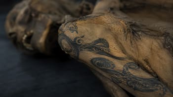 Enterraron a una mujer en el hielo de Siberia hace 2.500 años. Cuando la encontraron, sus tatuajes se habían conservado mejor que su piel