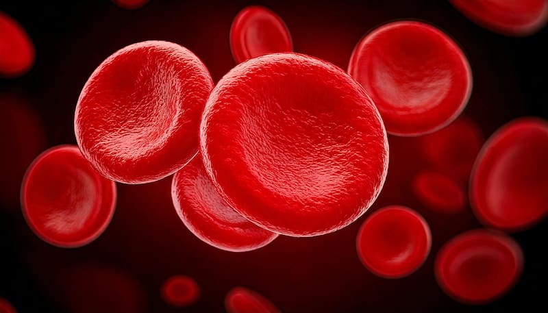 Entre los más de 500,000 individuos que donaron sangre, se detectaron 3 casos particulares que han generado sorpresa a nivel mundial. (Foto: Archivo)