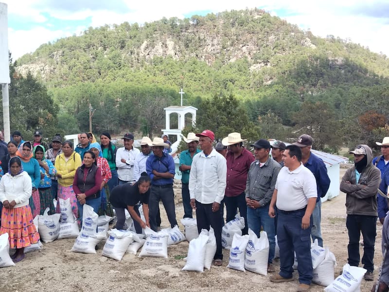 n Urique y Bocoyna, más de 400 familias recibieron apoyos alimentarios gracias a la estrategia NutriChihuahua, impulsada por la Gobernadora Maru Campos.