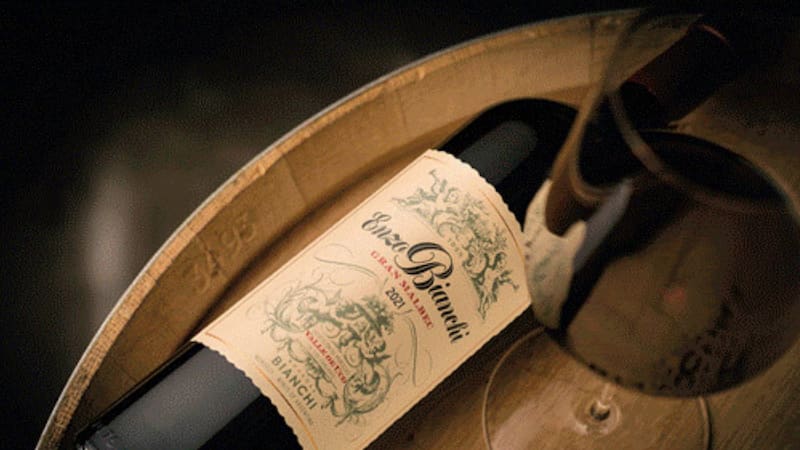 Enzo Bianchi Gran Malbec 2021, precisión y elegancia