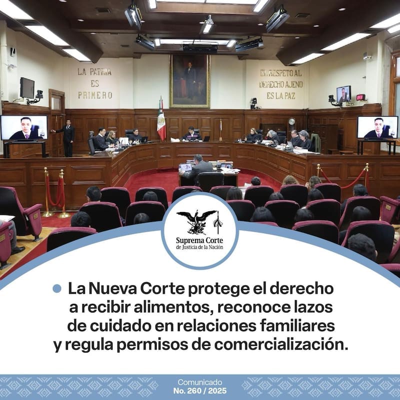 La Suprema Corte le da cierre a los padres que no satisfacen con su cuota alimentaria: ahora serán sancionados (foto: archivo).
