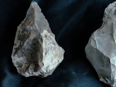 Pocos la conocen | Una cápsula del tiempo de hace 400.000 años sale a la luz: el hallazgo que sorprende a los arqueólogos