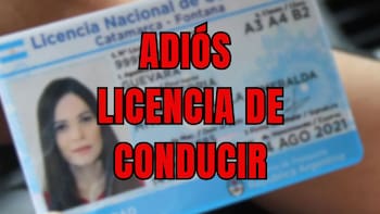 Oficial | Por orden de la Ley de Tránsito inhabilitan la licencia de conducir a todas las personas que manejen mientras usan el celular, si acumulan más infracciones