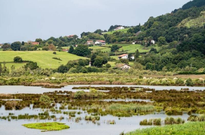 Es la localidad más alegre de España, se halla a 40 minutos de Bilbao y es un sueño de relatos (foto: Pexels).