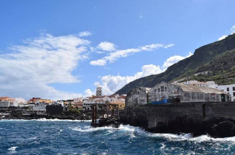 Cómo es el voluntariado en Tenerife.