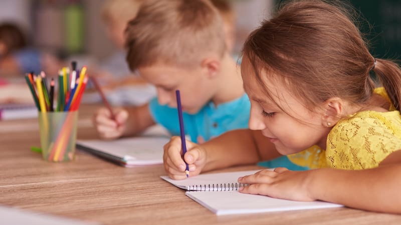 Todas las escuelas del país deberán agregar una nueva materia obligatoria a partir de esta fecha.