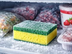 Congelar esponjas: para qué sirve y por qué cada vez más personas implementan este truco