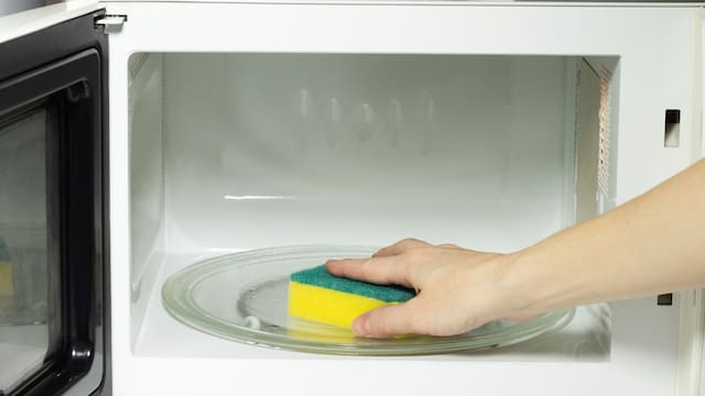 Poner una esponja en el microondas: para qué sirve y por qué lo recomiendan