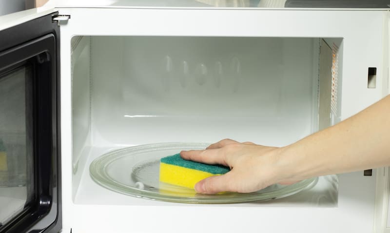 Las observaciones mediante microscopía mostraron que las bacterias se concentraban especialmente en las cavidades internas y las superficies del material.