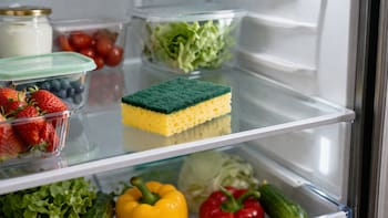 Meter una esponja en la heladera: para qué sirve y por qué lo recomiendan los expertos
