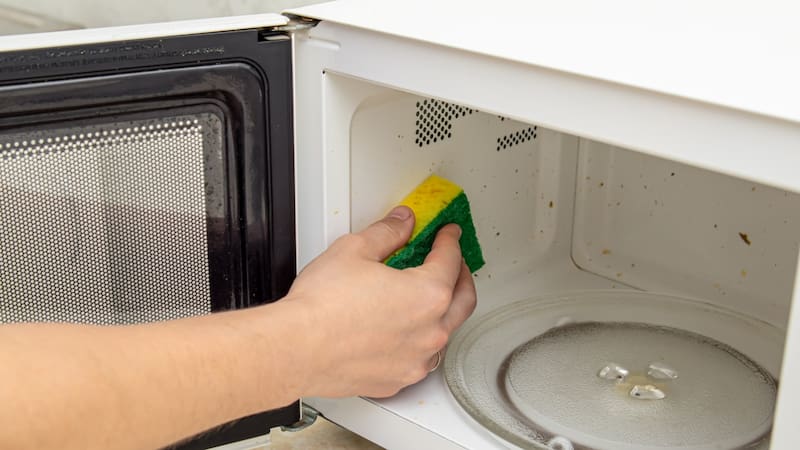 La investigación fue realizada con 14 esponjas de cocina usadas.
