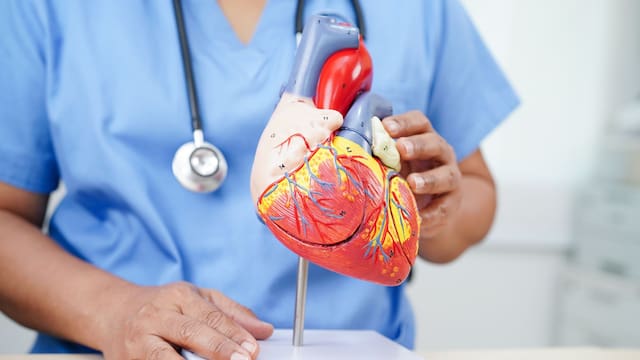 Ni caminata, ni gimnasio, ni bici: el ejercicio clave para cuidar el corazón y mejorar la circulación