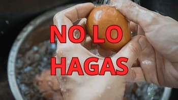 Por qué no debes lavar los huevos antes de guardarlos en la heladera: esto dicen los expertos