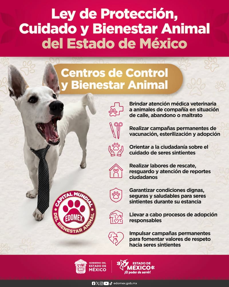 El Estado de México busca cambiar la cultura sobre el trato animal.