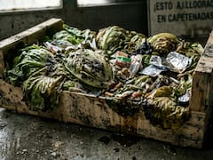 Estados Unidos reportó 2 muertes por “diarrea explosiva”: acusan a México de vender lechuga contaminada