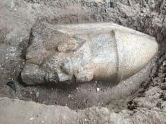 Un ciudadano descubre un tesoro del antiguo Egipto en su propiedad: encuentra dos estatuas que podrían pertenecer al rey Ramsés II