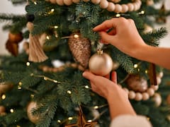 Llega el fin del Árbol de Navidad: la opción más elegida que no ocupa lugar, es barata y gasta poca energía