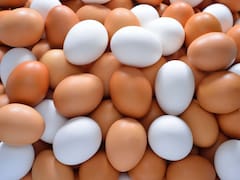 Huevos blancos o marrones: qué los diferencia y cuáles se recomienda comprar