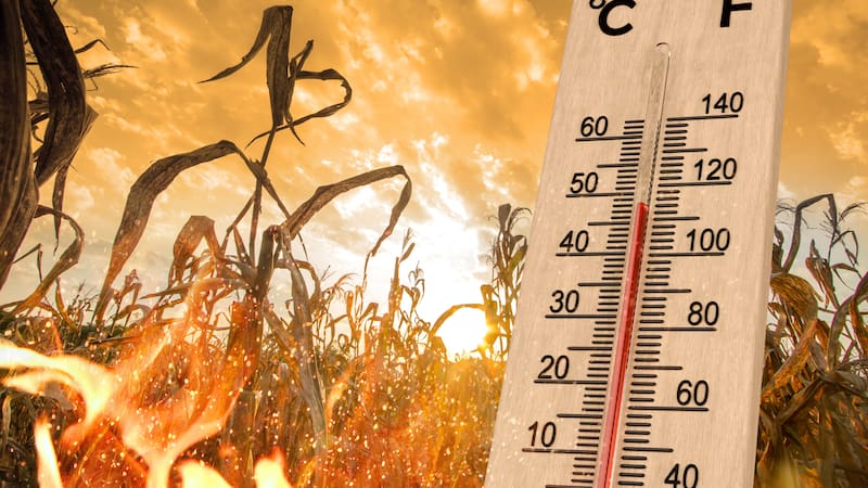 Este escenario eleva el riesgo de golpes de calor, deshidratación y otros efectos en la salud, especialmente en zonas donde el termómetro superará los 40 grados.