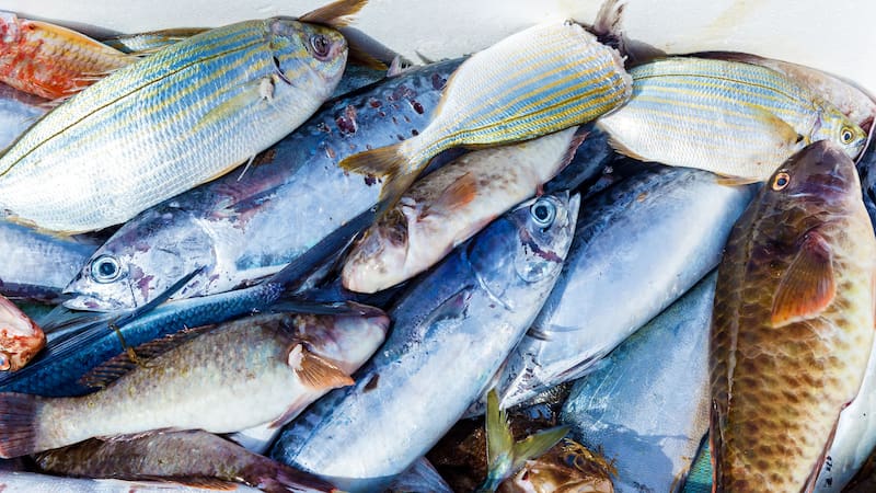 Este pescado blanco rico en omega-3 es ideal para proteger el corazón, prevenir el Alzheimer y reducir el colesterol sin necesidad de comer salmón.