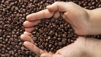 Este pueblo es el único de la región en tener plantaciones de café: atrae a los turistas por sus paisajes y cultura