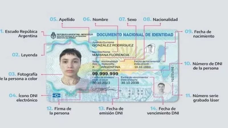 Estos argentinos deben actualizar el DNI con el nuevo formato en 2026: cómo hacerlo paso a paso
