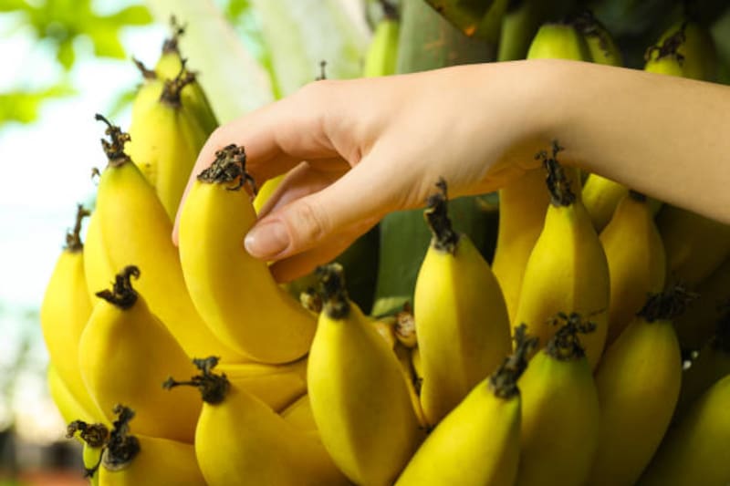 Mezclar cáscaras de plátano con bicarbonato: por qué se recomienda y para qué se usa.