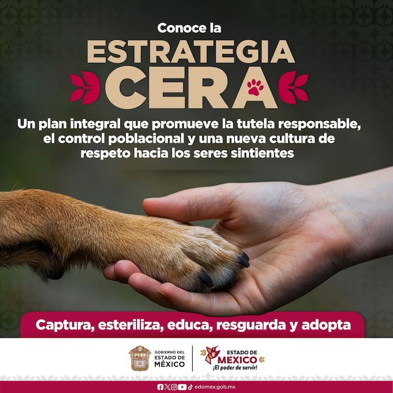 Cambia para siempre la tenencia de mascotas en México: adiós a los perros en la calle.