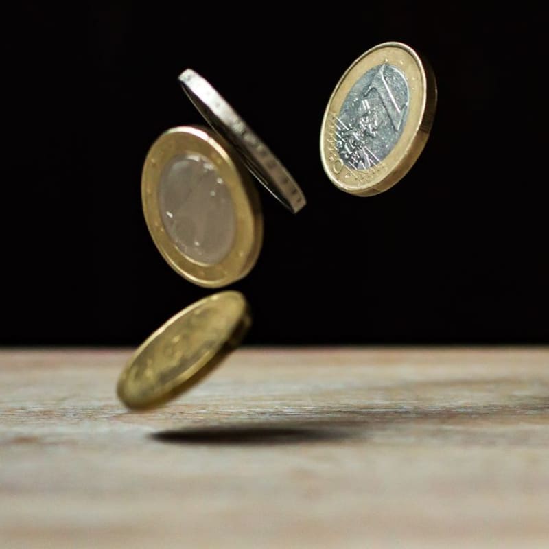 El precio del día.