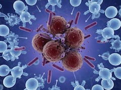 La bacteria que empezó a eliminar el cáncer con una única dosis: ya funciona en ratones