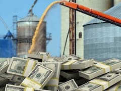 Mientras el mundo tiembla, Argentina sale ganadora: por qué puede tener un ingreso récord de dólares