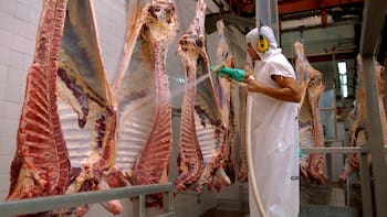 Uruguay podría empezar a exportar carne a la UE la próxima semana