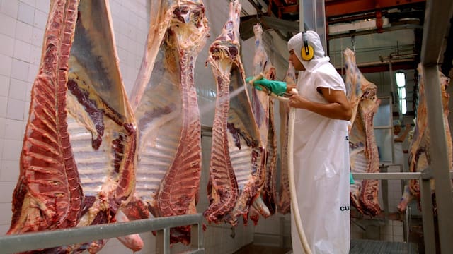 Uruguay podría empezar a exportar carne a la UE la próxima semana