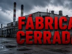 Tras años de funcionamiento, una planta de una empresa europea cerró sus puertas y corren peligro más de 300 puestos de trabajo