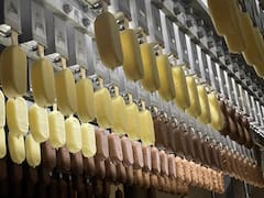 De la nevería de tu infancia al mundo: Helados Holanda exporta el arte de derretir paladares desde Tultitlán