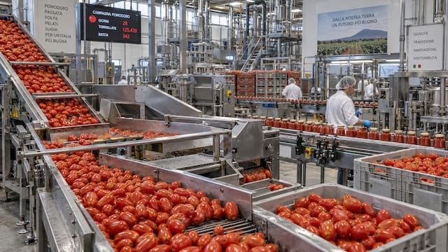 La fábrica de salsa de tomate que concentra toda su producción en solo 70 días al año: factura 777 millones de euros