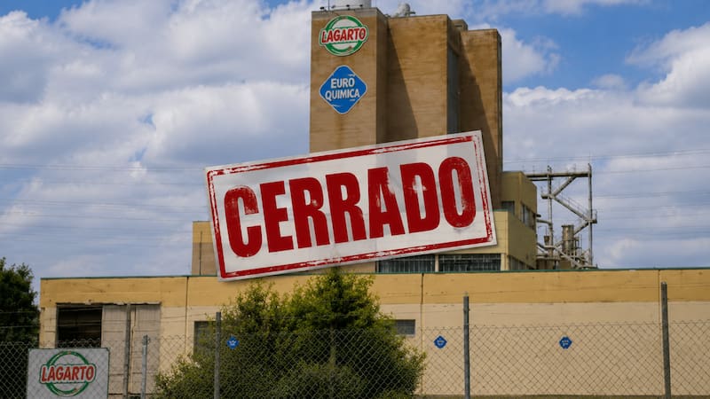 Tras 55 años, cerró una de las fábricas más importantes del sur del país y dejó sin trabajo a 40 personas