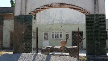 Fitch mantiene calificación crediticia de México, pero Banamex mantiene riesgos a la baja