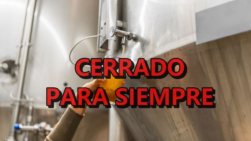 Female hand holding glass, sampling freshly brewed beer from stainless steel tank at modern craft brewery