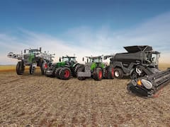 Arranque del “mini RIGI” para las Pymes: cuáles son los sectores que festejan y los que dudan