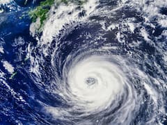 El océano ya no es como lo conocíamos: un fenómeno clave desapareció por primera vez en 40 años y los científicos temen que esta sea la causa