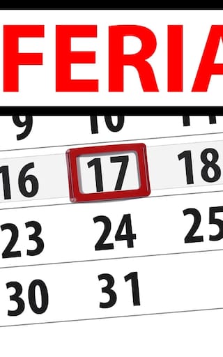 Ya es oficial | El Gobierno confirmó feriado el lunes 15 en todo el país y habrá un nuevo fin de semana largo