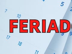 Es oficial | El Gobierno decretó que el lunes 18 será feriado y habrá un fin de semana largo en todo el país