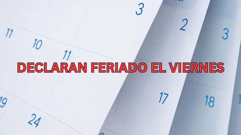 El Gobierno decretó que el viernes 7 será feriado y habrá un fin de semana largo en todo el país.